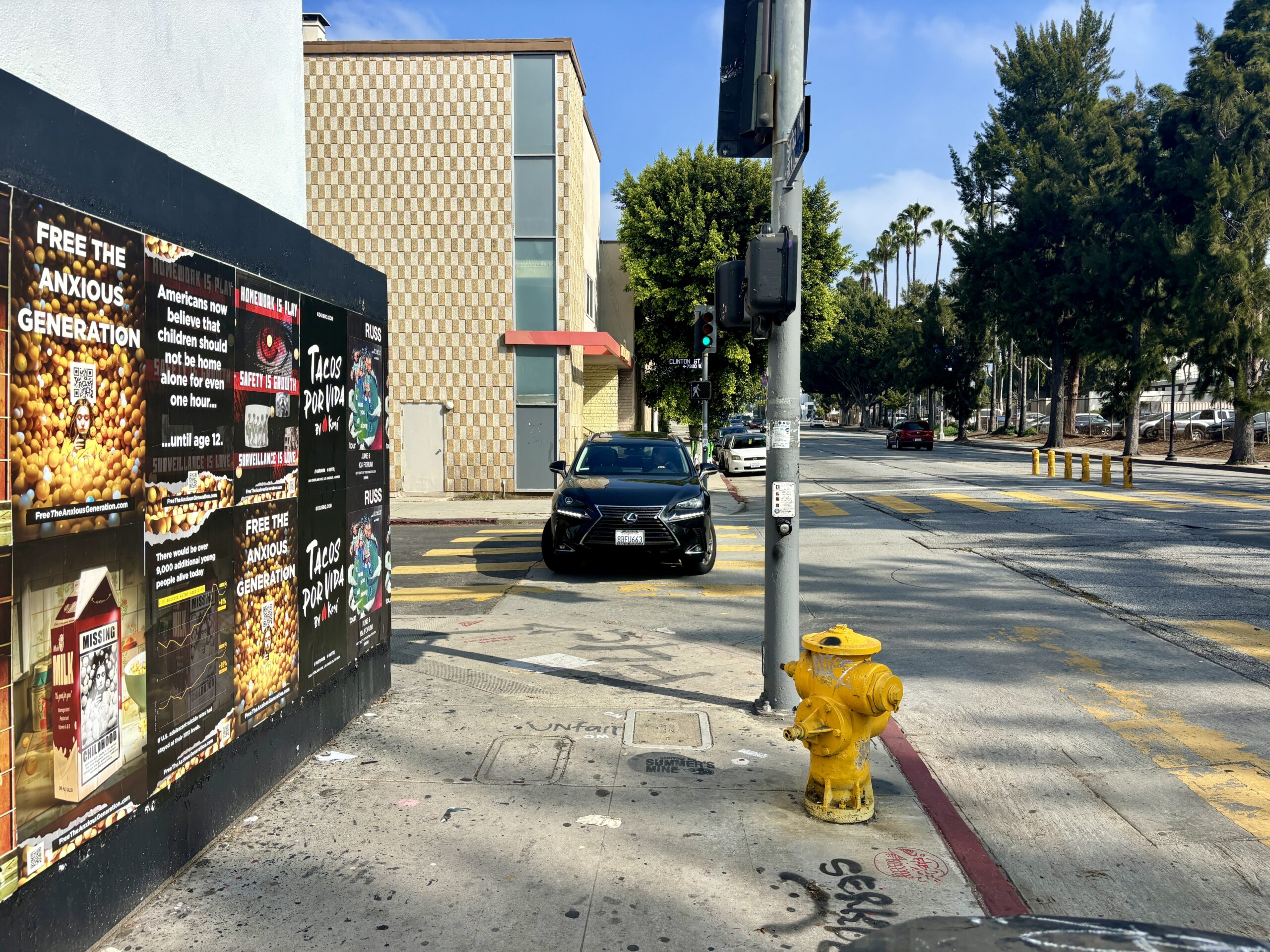 The Anxious Generation Jonathan Haidt Wild Posting LA N Fairfax and Clinton St