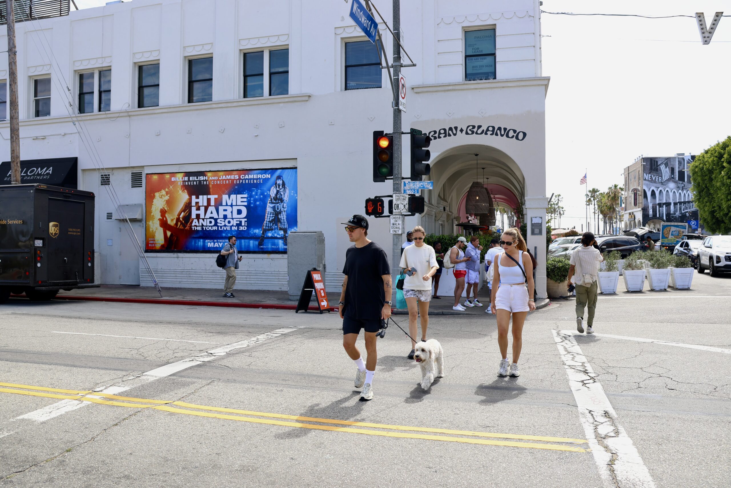 Billie Eilish Hit Me Hard and Soft LA Wild Posting Pacific Ave and Windward Ct